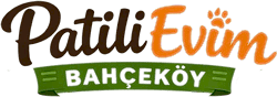 Patilievim Logo